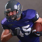 ���������� �����������, ���� ������� �������, 37 ���, ������������ ��� ������, ����� � ���������