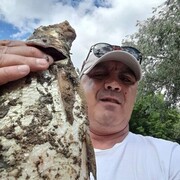  ,   , 52 ,   ,   , c 