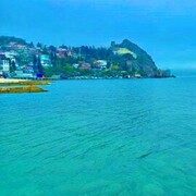 ���������� ������, ������ ������, 18