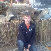  ,  Nik, 38