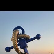 ���������� ����, ������� ���������, 43