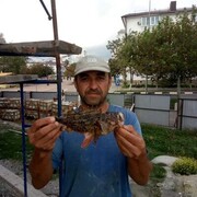  ,   Yunus, 44 ,   ,   , 