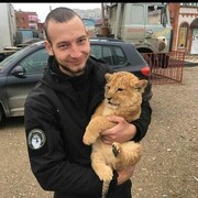 ���������� ������, ���� ������� ���������, 31 ���, ������������ ��� ������, ����� � ���������