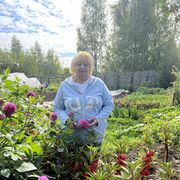 ���������� ������, ���� ������� ���������, 65 ���, ������������ ��� ������, ����� � ���������