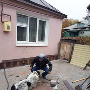  ,   , 55 ,   ,   , c 