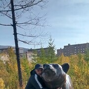 ���������� ����������, ���� ������� �������, 44 ����, ������������ ��� ������, ����� � ���������, c�������� ���������, ���������