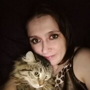  ,   , 33 ,     , 
