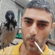  ,   , 41 ,   ,   