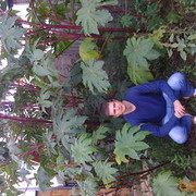 ���������� ��������, ���� ������� ����, 41 ���, ������������ ��� ������