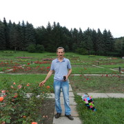  --,   , 72 ,   ,   , c 