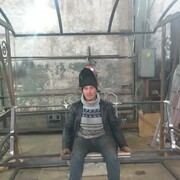 ���������� �����������, ���� ������� ��������, 37 ���, ������������ ��� ����� � ���������, c�������� ���������