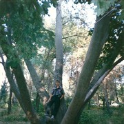  -,   , 55 ,   ,   , c , 