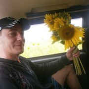  ,   , 44 ,   