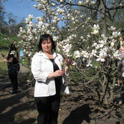 ���������� ����, ���� ������� ����, 48 ���, ������������ ��� ������, ����� � ���������, c�������� ���������