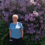 � ���� ������ ��������..