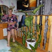  ,   , 57 ,   c 