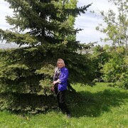 ���������� �������, ���� ������� �����, 65 ���, ������������ ��� ������, ����� � ���������