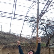 ���������� ���, ���� ������� ������, 31 ���, ������������ ��� ������, ����� � ���������, c�������� ���������