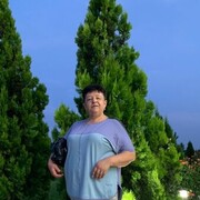  ,   , 58 ,   