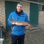  ,  MAKS, 36