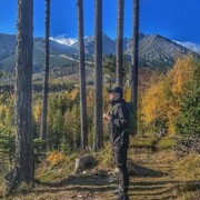 ���������� �����, ���� ������� ���������, 40 ���, ������������ ��� ������, ����� � ���������, c�������� ���������