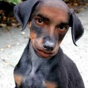 ���������� ������-��-����, ���� ����� ����, 24 ����, ������������ ��� ������, ����� � ���������