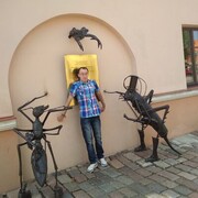  ,   , 31 ,   ,   , c 