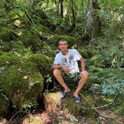 ���������� �������, ���� ������� ������, 44 ����, ������������ ��� ������, ����� � ���������