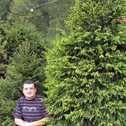 ���������� �����, ���� ������� Marjan, 41 ���, ������������ ��� ������