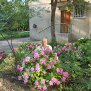 ���������� ������, ���� ������� ����, 65 ���, ������������ ��� ������, ���������