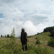 ���������� ��������, ���� ������� ����, 43 ����, ������������ ��� ������, ����� � ���������, c�������� ���������