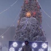 ���������� ����������, ���� ������� ������, 29 ���, ������������ ��� ������, ����� � ���������