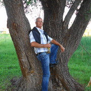  ,   , 65 ,  