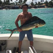 ���������� �������, ���� ������� ���������, 44 ����, ������������ ��� ������, ����� � ���������, c�������� ���������, ���������