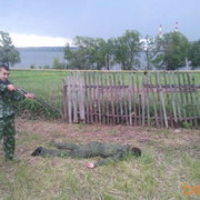 ���������� ������, ���� ������� ���������, 41 ���, ������������ ��� ������, ����� � ���������, c�������� ���������