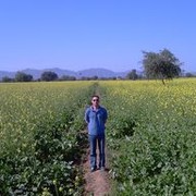 ���������� ����, ���� ������� Aman, 51 ���, ������������ ��� ������