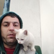 ���������� ������, ���� ������� ���, 43 ����, ������������ ��� ������, ����� � ���������