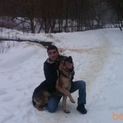  ,   Radukan4ik, 40 ,   