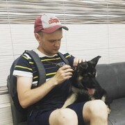 ���������� ������, ���� ������� ����������, 29 ���, ������������ ��� ������, ����� � ���������