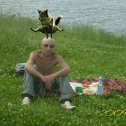  ,   , 71 ,   