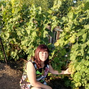 ���������� ��������, ���� ������� �������, 47 ���, ������������ ��� ������, ����� � ���������, c�������� ���������