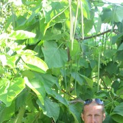  ,   Andrew, 44 ,   