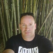  ,   , 38 ,   ,   , 