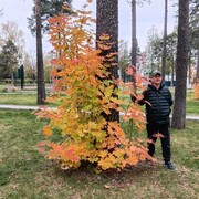 ���������� ������, ���� ������� �����, 39 ���, ������������ ��� ������, ����� � ���������