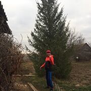 ���������� �������, ���� ������� ������, 53 ����, ������������ ��� ������, ����� � ���������, c�������� ���������, ���������