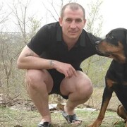 ���������� ���������, ���� ������� �������, 46 ���, ������������ ��� c�������� ���������, ���������