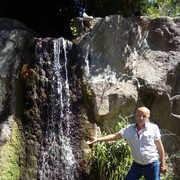  -,   , 65 ,  