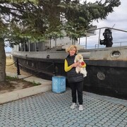 ���������� ������, ���� ������� ������, 61 ���, ������������ ��� c�������� ���������