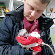  ,   Arkady, 30 ,   ,   