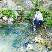  ,   Ali, 31 ,   ,   